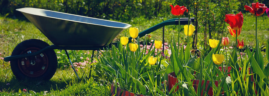 yard-clean-up-spring