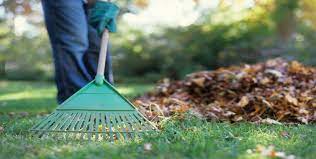 Spring cleanup-1